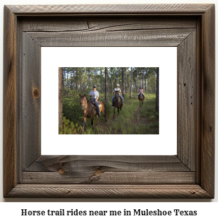 horse trail rides near me in Muleshoe, Texas